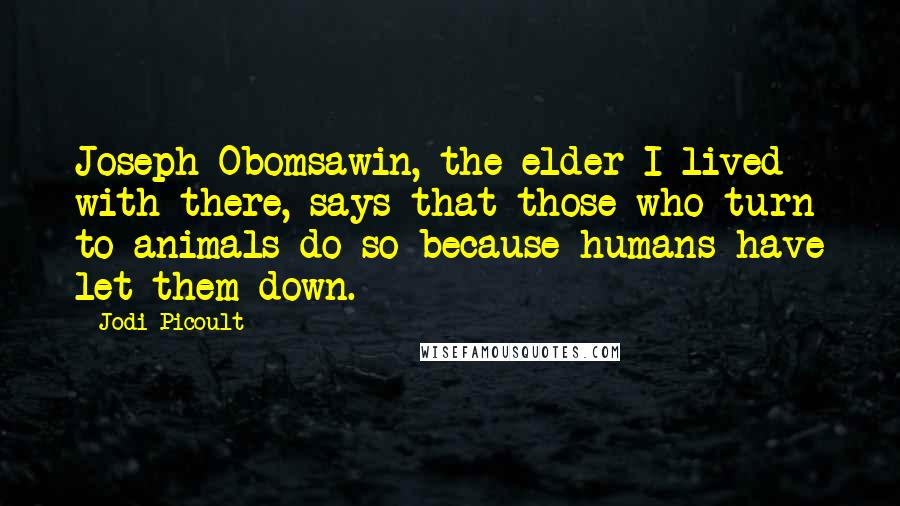 Jodi Picoult Quotes: Joseph Obomsawin, the elder I lived with there, says that those who turn to animals do so because humans have let them down.