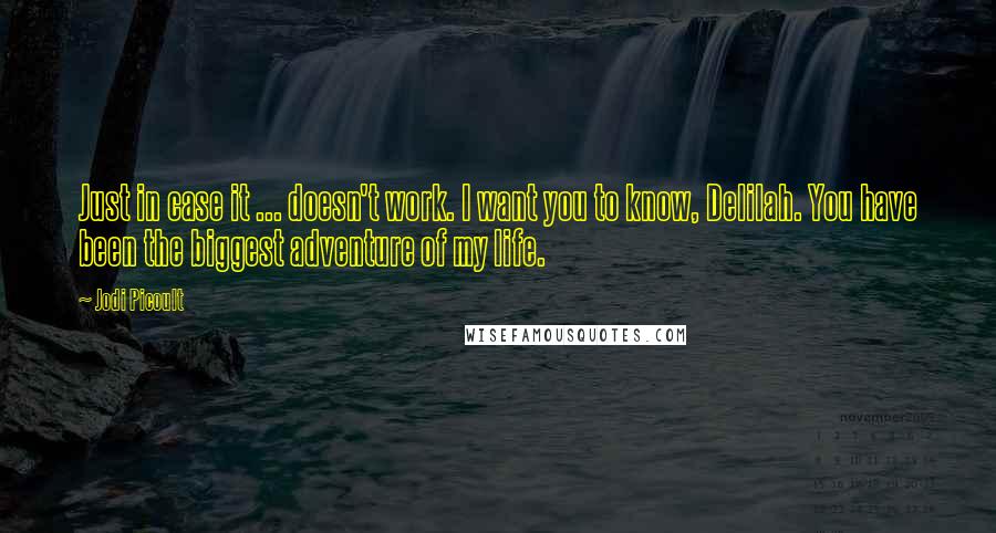 Jodi Picoult Quotes: Just in case it ... doesn't work. I want you to know, Delilah. You have been the biggest adventure of my life.