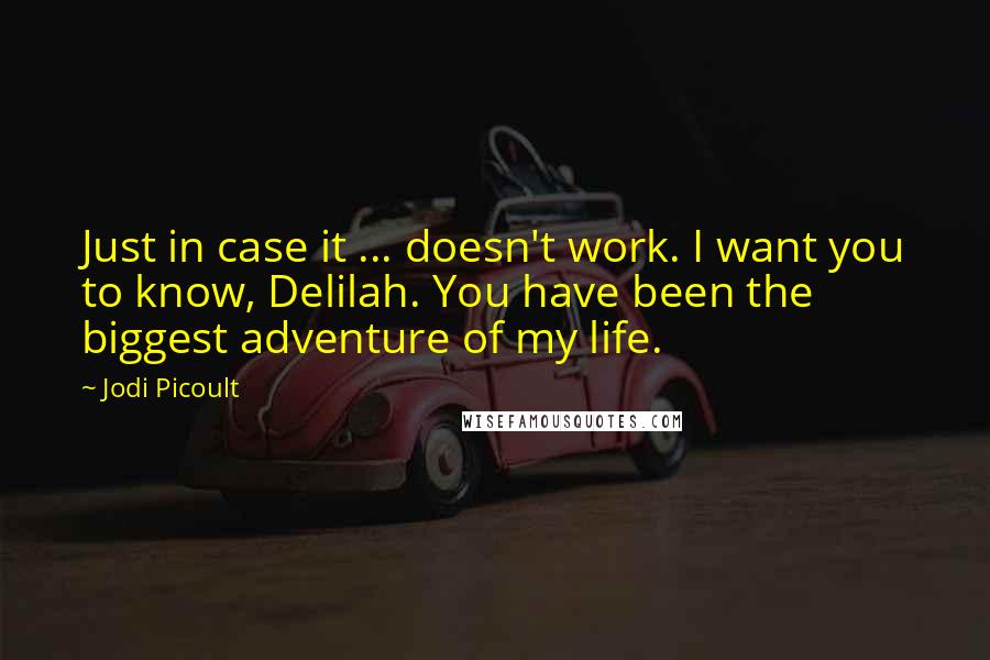 Jodi Picoult Quotes: Just in case it ... doesn't work. I want you to know, Delilah. You have been the biggest adventure of my life.