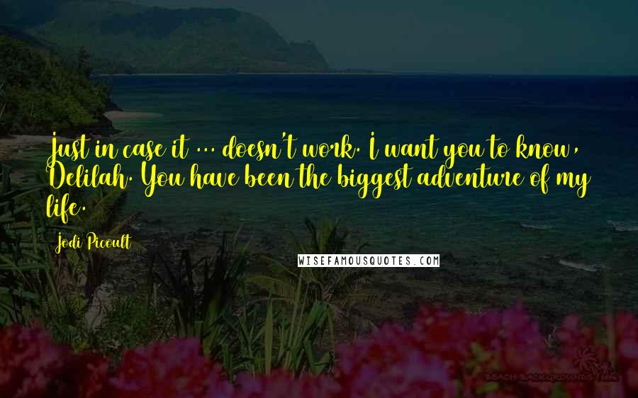 Jodi Picoult Quotes: Just in case it ... doesn't work. I want you to know, Delilah. You have been the biggest adventure of my life.