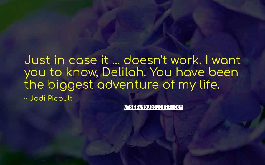 Jodi Picoult Quotes: Just in case it ... doesn't work. I want you to know, Delilah. You have been the biggest adventure of my life.