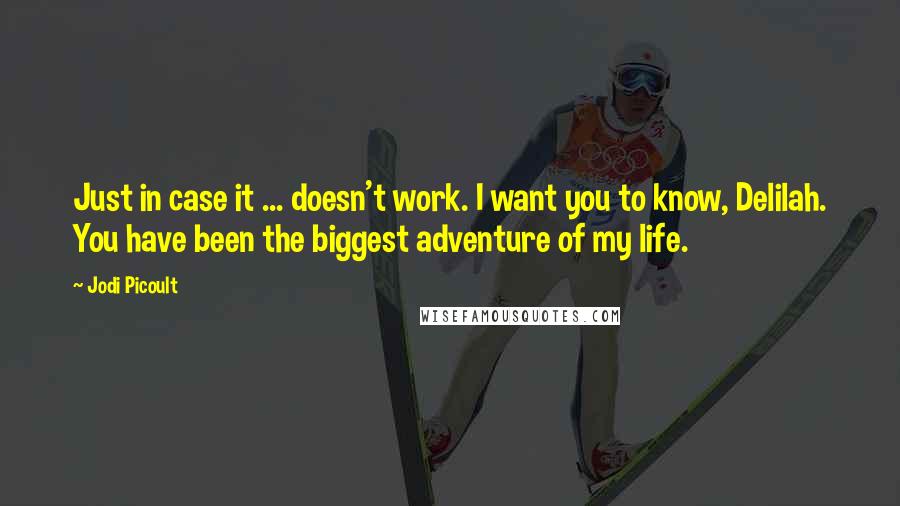 Jodi Picoult Quotes: Just in case it ... doesn't work. I want you to know, Delilah. You have been the biggest adventure of my life.