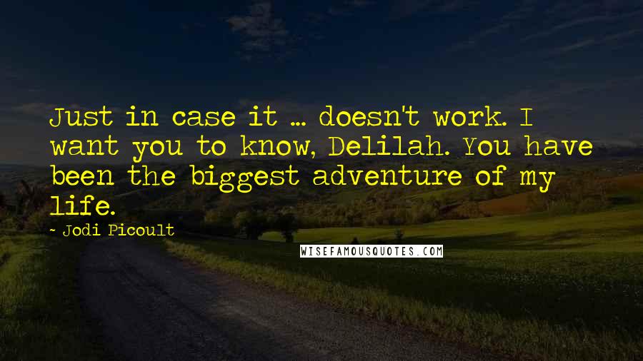 Jodi Picoult Quotes: Just in case it ... doesn't work. I want you to know, Delilah. You have been the biggest adventure of my life.