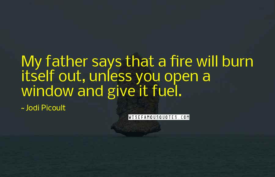 Jodi Picoult Quotes: My father says that a fire will burn itself out, unless you open a window and give it fuel.