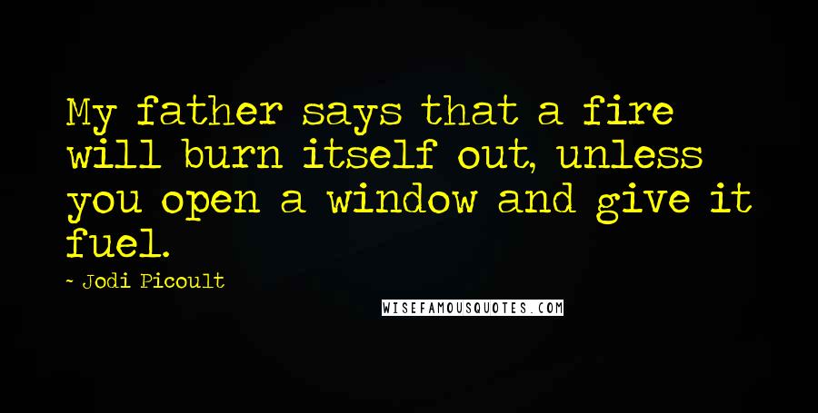 Jodi Picoult Quotes: My father says that a fire will burn itself out, unless you open a window and give it fuel.