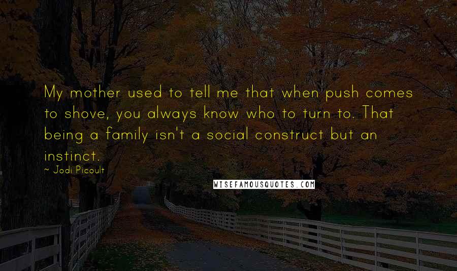 Jodi Picoult Quotes: My mother used to tell me that when push comes to shove, you always know who to turn to. That being a family isn't a social construct but an instinct.