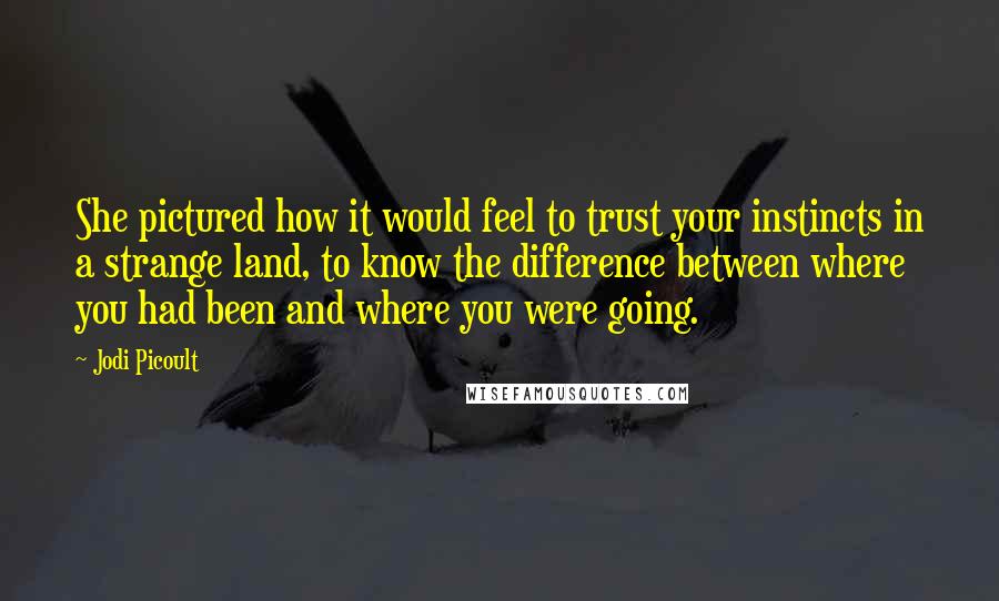 Jodi Picoult Quotes: She pictured how it would feel to trust your instincts in a strange land, to know the difference between where you had been and where you were going.