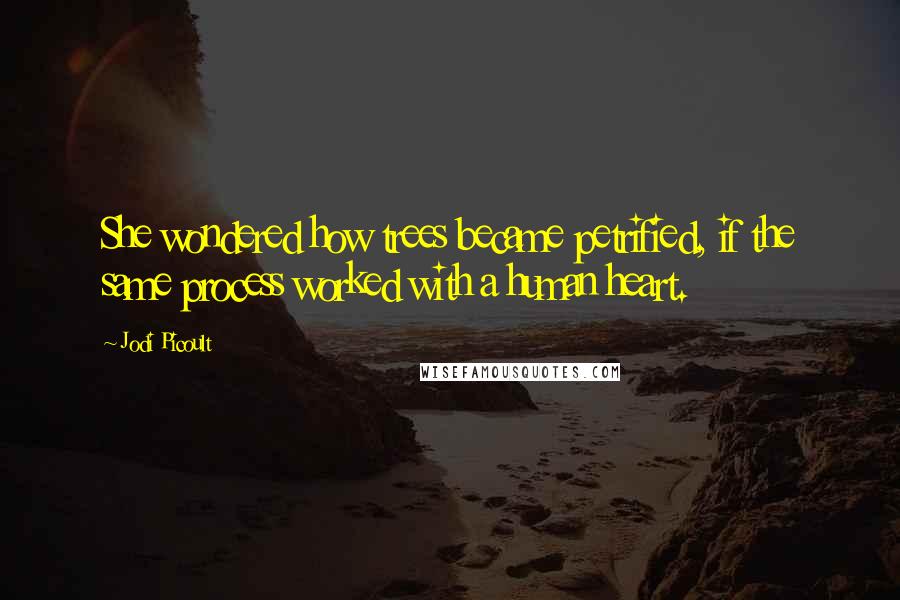 Jodi Picoult Quotes: She wondered how trees became petrified, if the same process worked with a human heart.