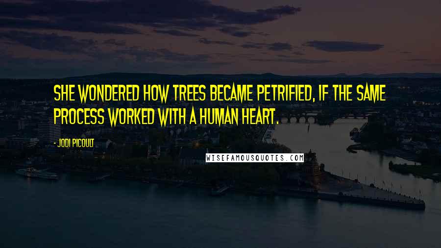 Jodi Picoult Quotes: She wondered how trees became petrified, if the same process worked with a human heart.