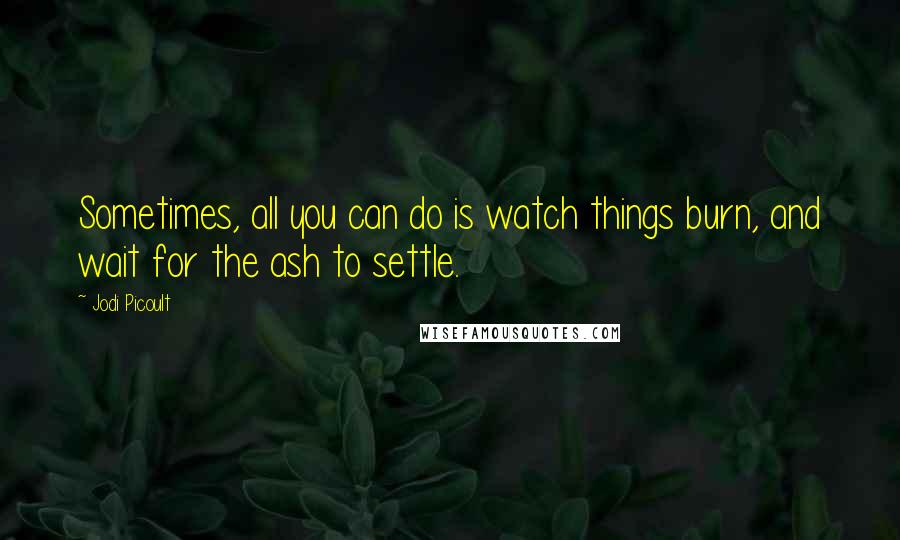 Jodi Picoult Quotes: Sometimes, all you can do is watch things burn, and wait for the ash to settle.