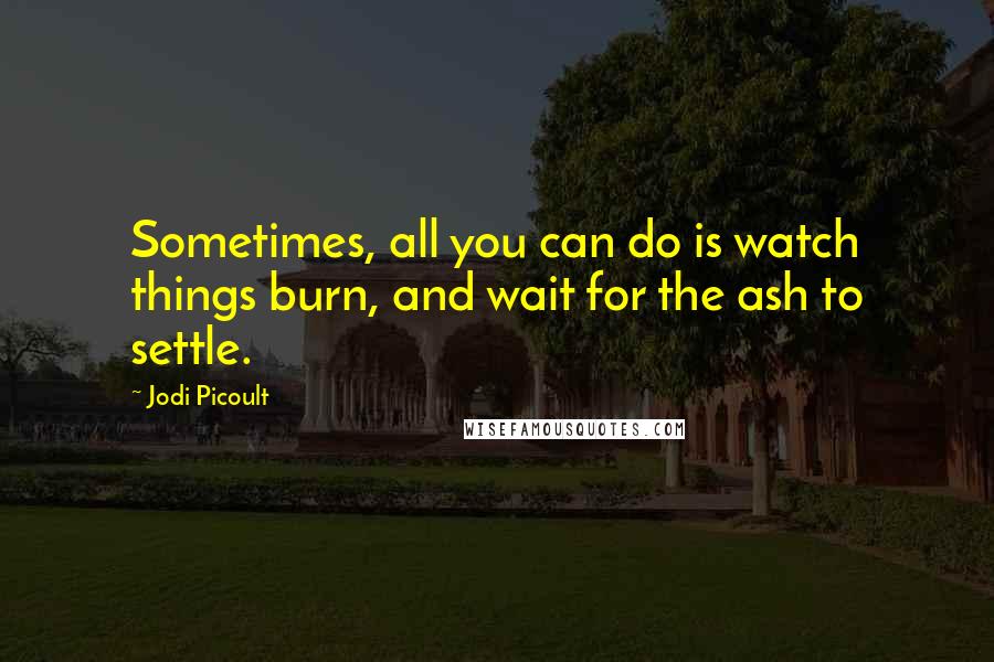 Jodi Picoult Quotes: Sometimes, all you can do is watch things burn, and wait for the ash to settle.