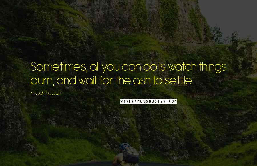 Jodi Picoult Quotes: Sometimes, all you can do is watch things burn, and wait for the ash to settle.