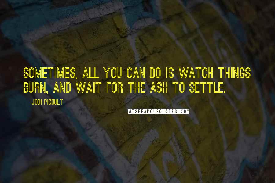 Jodi Picoult Quotes: Sometimes, all you can do is watch things burn, and wait for the ash to settle.