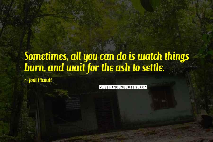 Jodi Picoult Quotes: Sometimes, all you can do is watch things burn, and wait for the ash to settle.