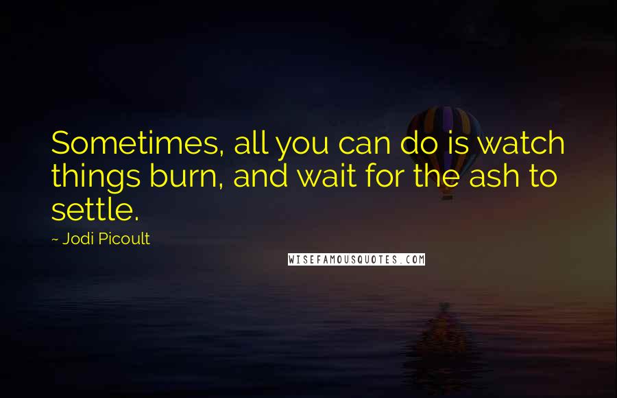 Jodi Picoult Quotes: Sometimes, all you can do is watch things burn, and wait for the ash to settle.