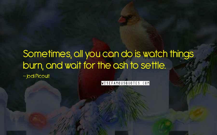 Jodi Picoult Quotes: Sometimes, all you can do is watch things burn, and wait for the ash to settle.