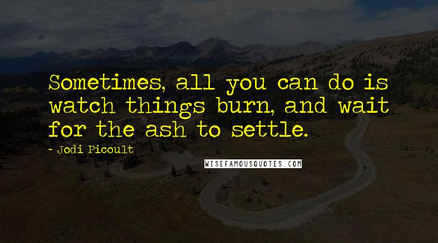 Jodi Picoult Quotes: Sometimes, all you can do is watch things burn, and wait for the ash to settle.