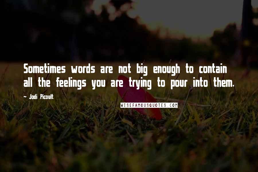 Jodi Picoult Quotes: Sometimes words are not big enough to contain all the feelings you are trying to pour into them.