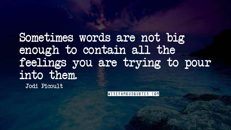 Jodi Picoult Quotes: Sometimes words are not big enough to contain all the feelings you are trying to pour into them.