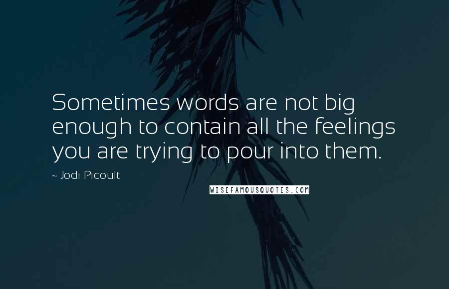 Jodi Picoult Quotes: Sometimes words are not big enough to contain all the feelings you are trying to pour into them.