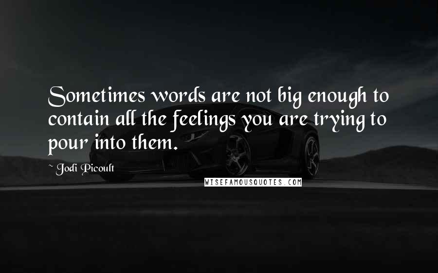 Jodi Picoult Quotes: Sometimes words are not big enough to contain all the feelings you are trying to pour into them.