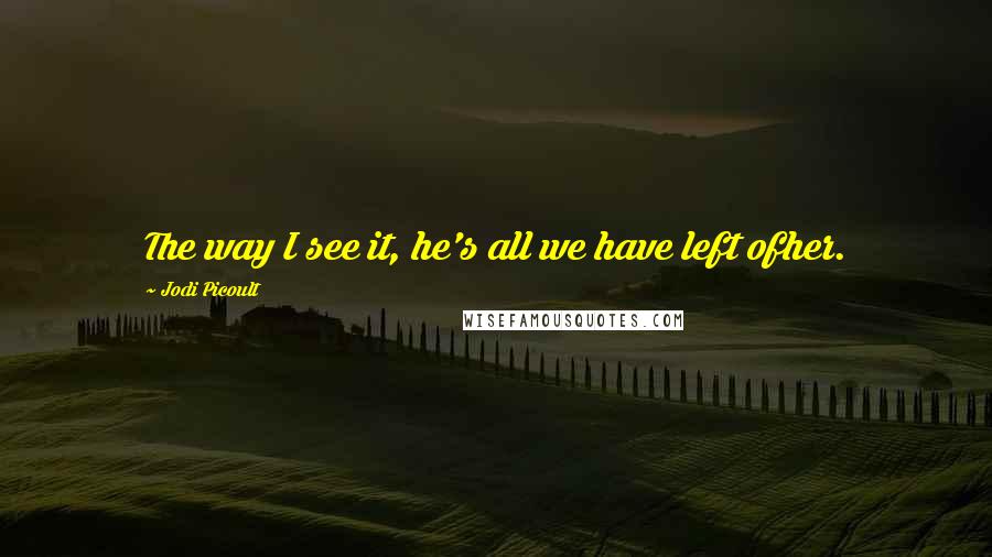 Jodi Picoult Quotes: The way I see it, he's all we have left ofher.