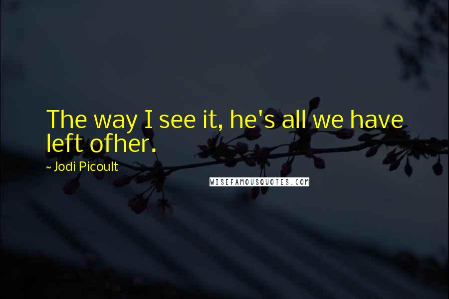 Jodi Picoult Quotes: The way I see it, he's all we have left ofher.