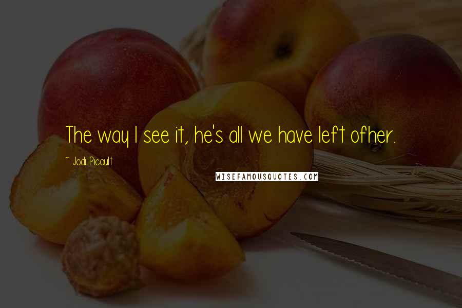 Jodi Picoult Quotes: The way I see it, he's all we have left ofher.