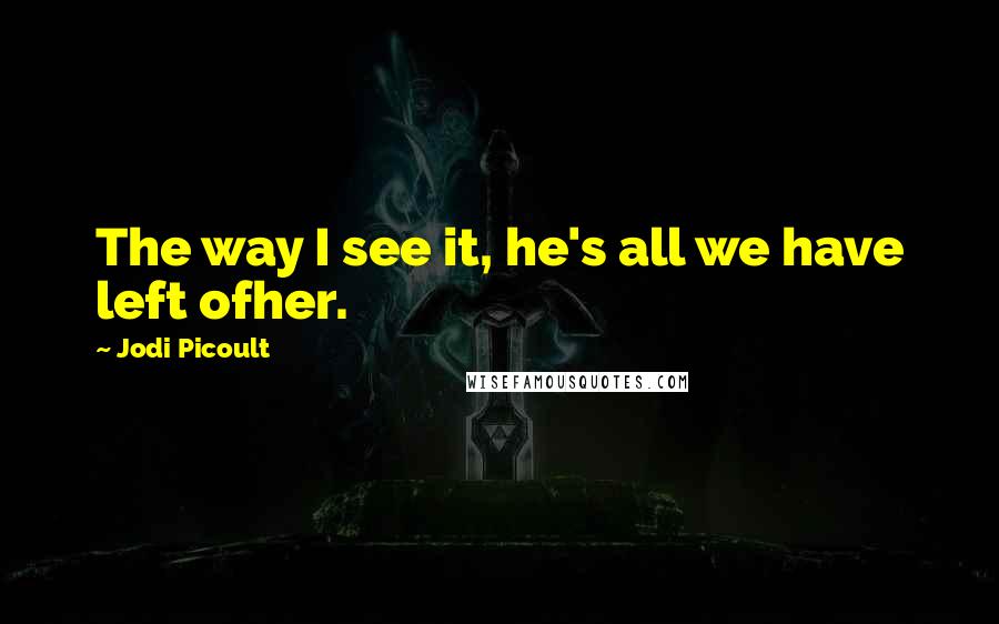 Jodi Picoult Quotes: The way I see it, he's all we have left ofher.