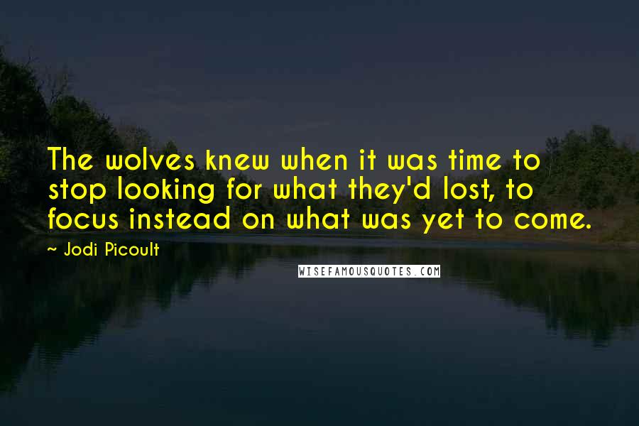 Jodi Picoult Quotes: The wolves knew when it was time to stop looking for what they'd lost, to focus instead on what was yet to come.