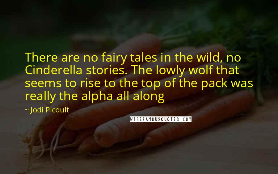 Jodi Picoult Quotes: There are no fairy tales in the wild, no Cinderella stories. The lowly wolf that seems to rise to the top of the pack was really the alpha all along
