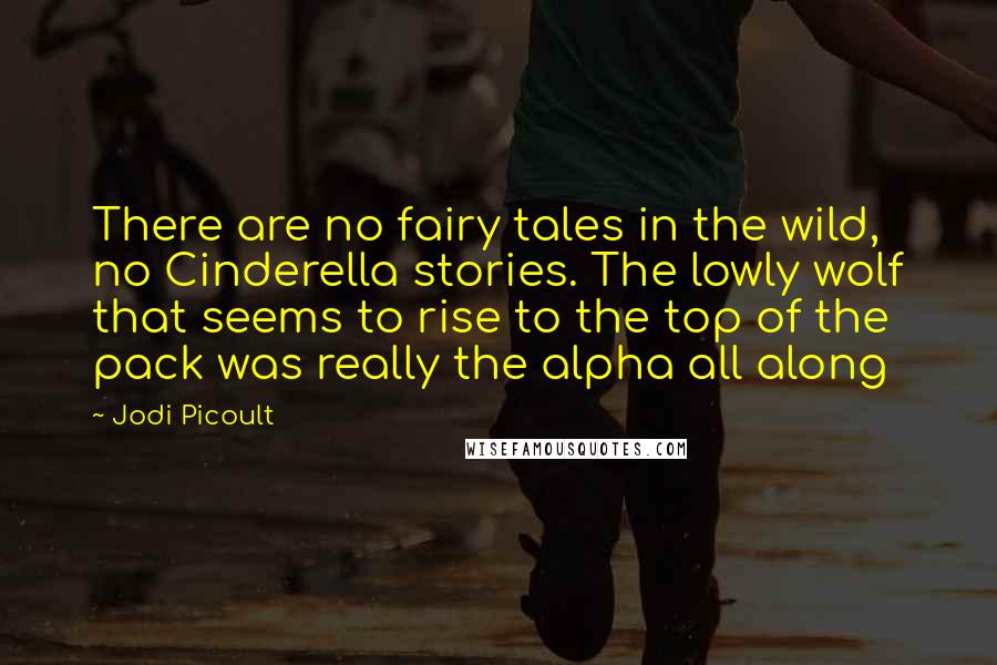 Jodi Picoult Quotes: There are no fairy tales in the wild, no Cinderella stories. The lowly wolf that seems to rise to the top of the pack was really the alpha all along