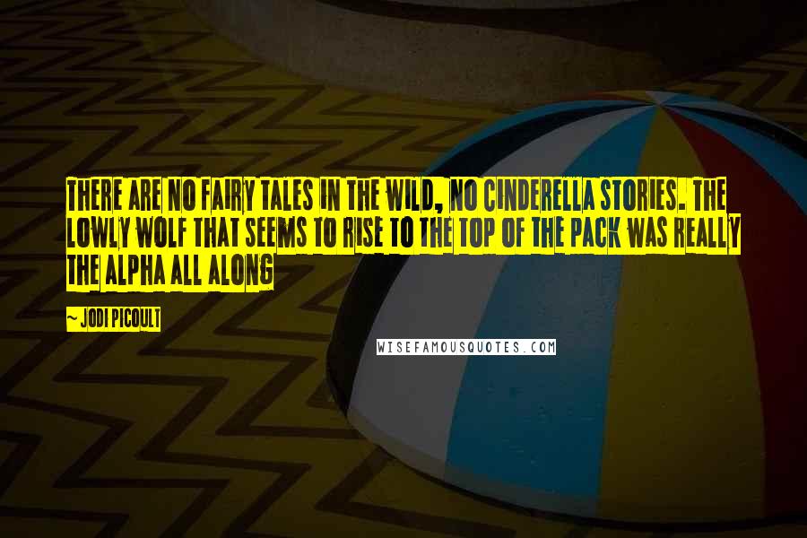 Jodi Picoult Quotes: There are no fairy tales in the wild, no Cinderella stories. The lowly wolf that seems to rise to the top of the pack was really the alpha all along