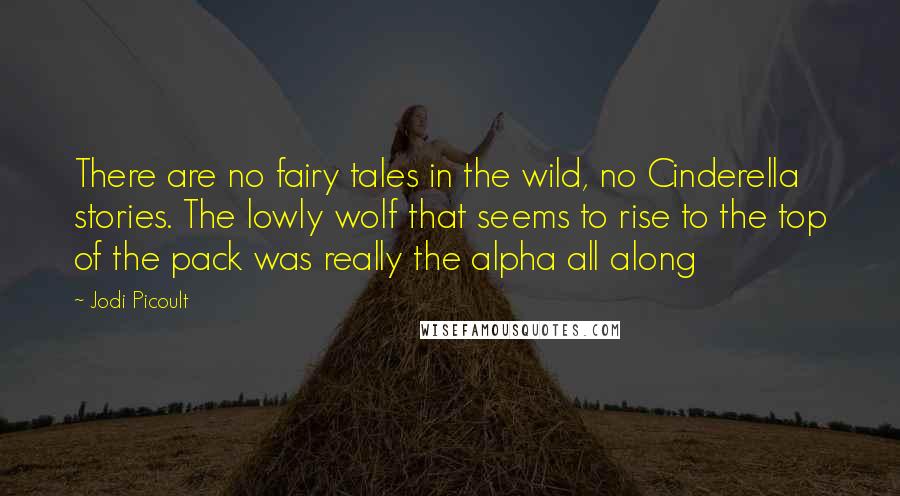 Jodi Picoult Quotes: There are no fairy tales in the wild, no Cinderella stories. The lowly wolf that seems to rise to the top of the pack was really the alpha all along