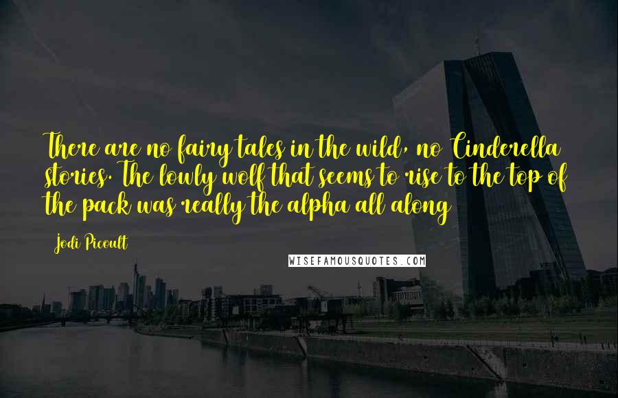 Jodi Picoult Quotes: There are no fairy tales in the wild, no Cinderella stories. The lowly wolf that seems to rise to the top of the pack was really the alpha all along