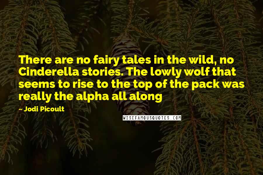 Jodi Picoult Quotes: There are no fairy tales in the wild, no Cinderella stories. The lowly wolf that seems to rise to the top of the pack was really the alpha all along