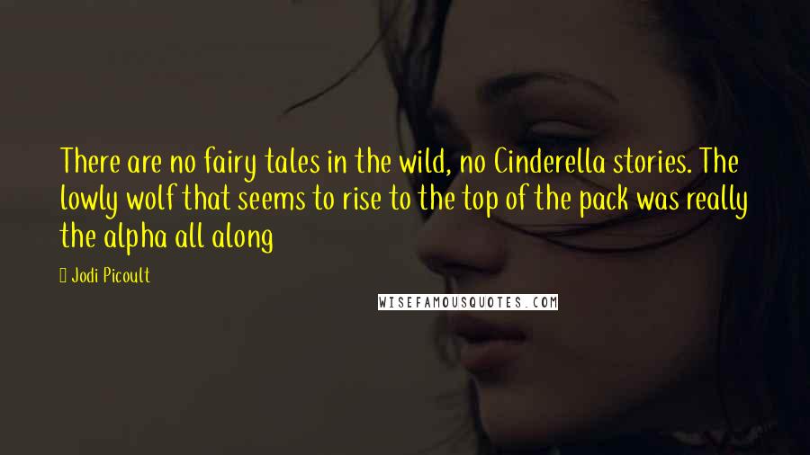 Jodi Picoult Quotes: There are no fairy tales in the wild, no Cinderella stories. The lowly wolf that seems to rise to the top of the pack was really the alpha all along