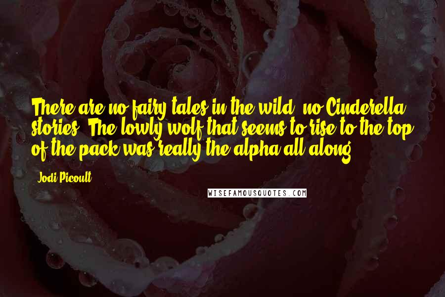 Jodi Picoult Quotes: There are no fairy tales in the wild, no Cinderella stories. The lowly wolf that seems to rise to the top of the pack was really the alpha all along