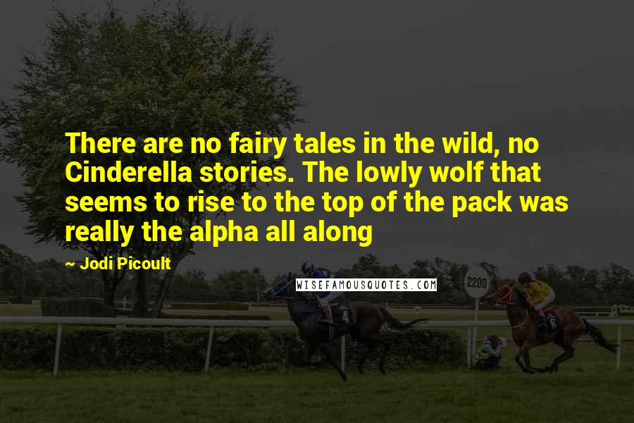 Jodi Picoult Quotes: There are no fairy tales in the wild, no Cinderella stories. The lowly wolf that seems to rise to the top of the pack was really the alpha all along