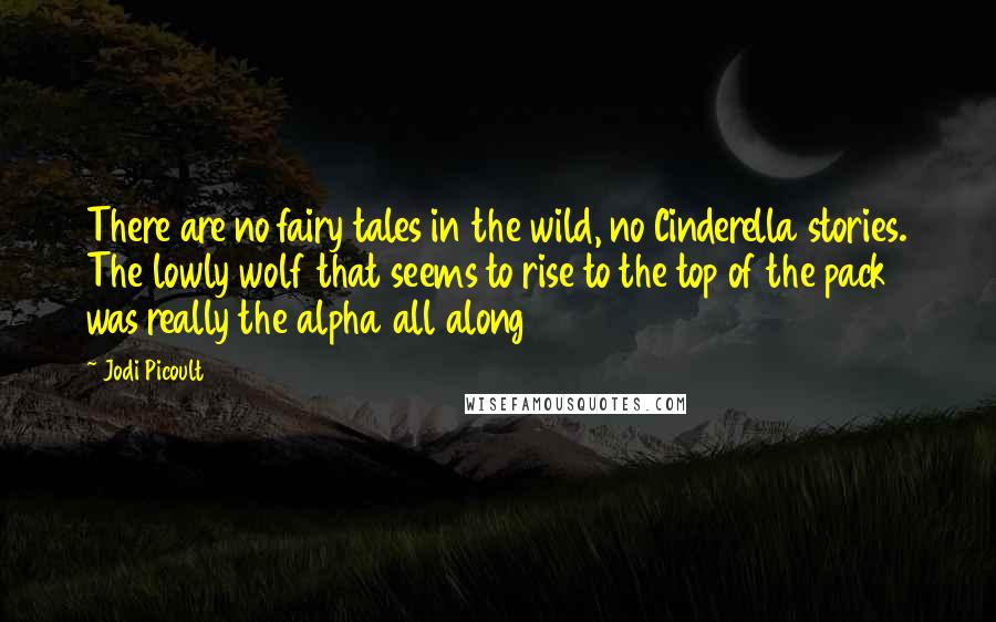 Jodi Picoult Quotes: There are no fairy tales in the wild, no Cinderella stories. The lowly wolf that seems to rise to the top of the pack was really the alpha all along
