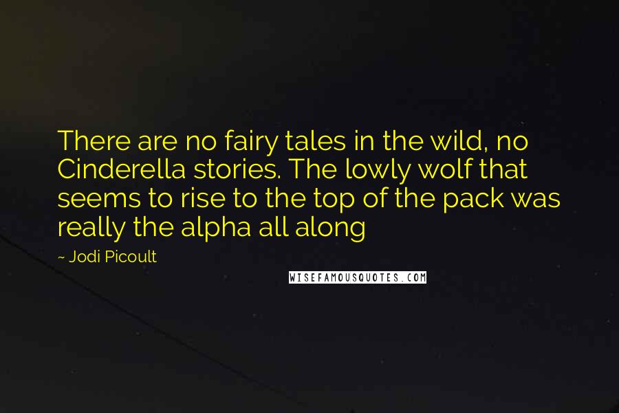 Jodi Picoult Quotes: There are no fairy tales in the wild, no Cinderella stories. The lowly wolf that seems to rise to the top of the pack was really the alpha all along