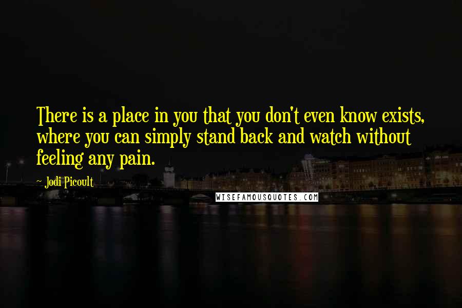 Jodi Picoult Quotes: There is a place in you that you don't even know exists, where you can simply stand back and watch without feeling any pain.