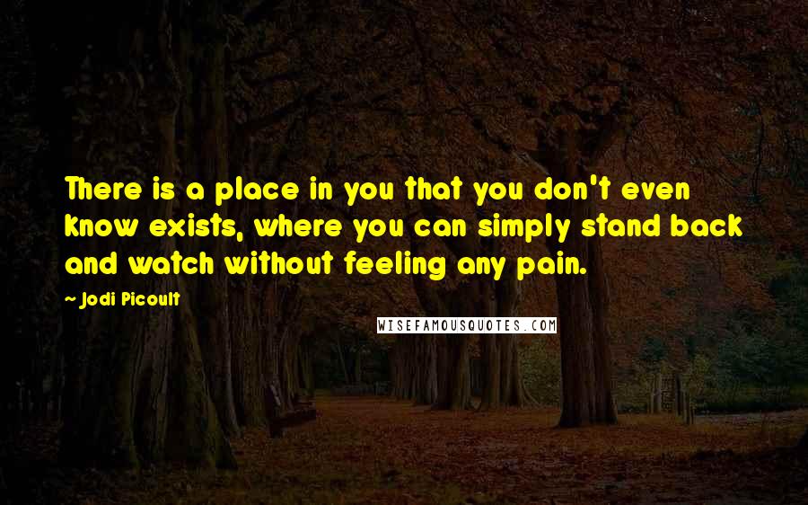 Jodi Picoult Quotes: There is a place in you that you don't even know exists, where you can simply stand back and watch without feeling any pain.