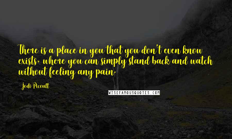 Jodi Picoult Quotes: There is a place in you that you don't even know exists, where you can simply stand back and watch without feeling any pain.