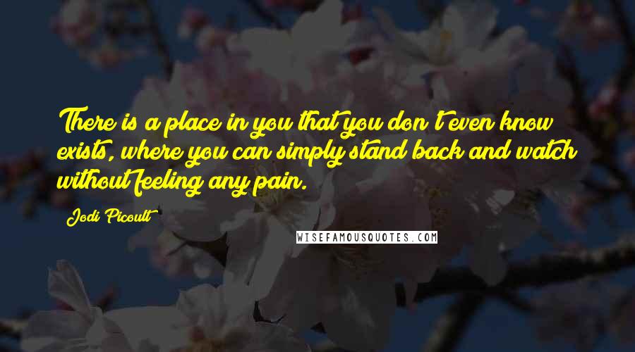 Jodi Picoult Quotes: There is a place in you that you don't even know exists, where you can simply stand back and watch without feeling any pain.