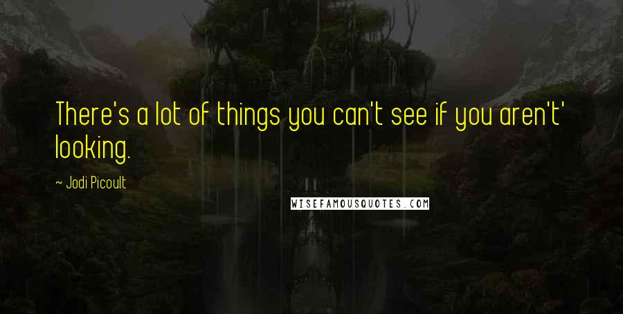 Jodi Picoult Quotes: There's a lot of things you can't see if you aren't' looking.