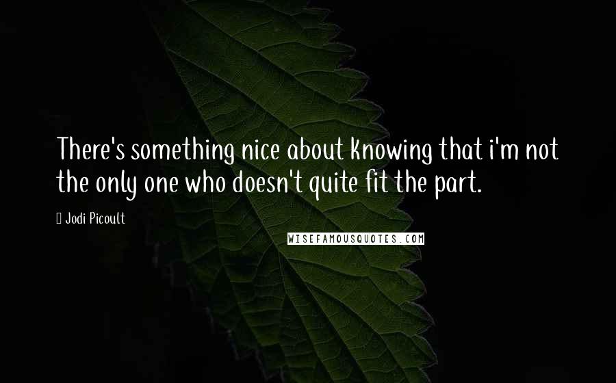 Jodi Picoult Quotes: There's something nice about knowing that i'm not the only one who doesn't quite fit the part.