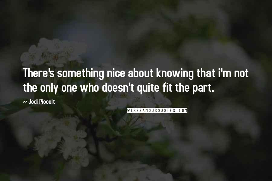 Jodi Picoult Quotes: There's something nice about knowing that i'm not the only one who doesn't quite fit the part.