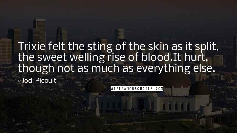 Jodi Picoult Quotes: Trixie felt the sting of the skin as it split, the sweet welling rise of blood.It hurt, though not as much as everything else.