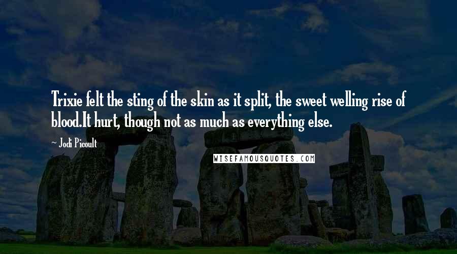 Jodi Picoult Quotes: Trixie felt the sting of the skin as it split, the sweet welling rise of blood.It hurt, though not as much as everything else.